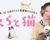 小田さくらが保護猫たちとの日々を語るエッセイ「さくらと猫」の連載スタート ｷﾀ━━━━(゜∀゜)━━━━!!