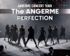 11月2日発売Blu-ray/DVD『アンジュルム CONCERT TOUR -The ANGERME- PERFECTION』ジャケ写公開！！