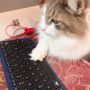 山木梨沙のキーボードがホコリと猫の毛まみれ